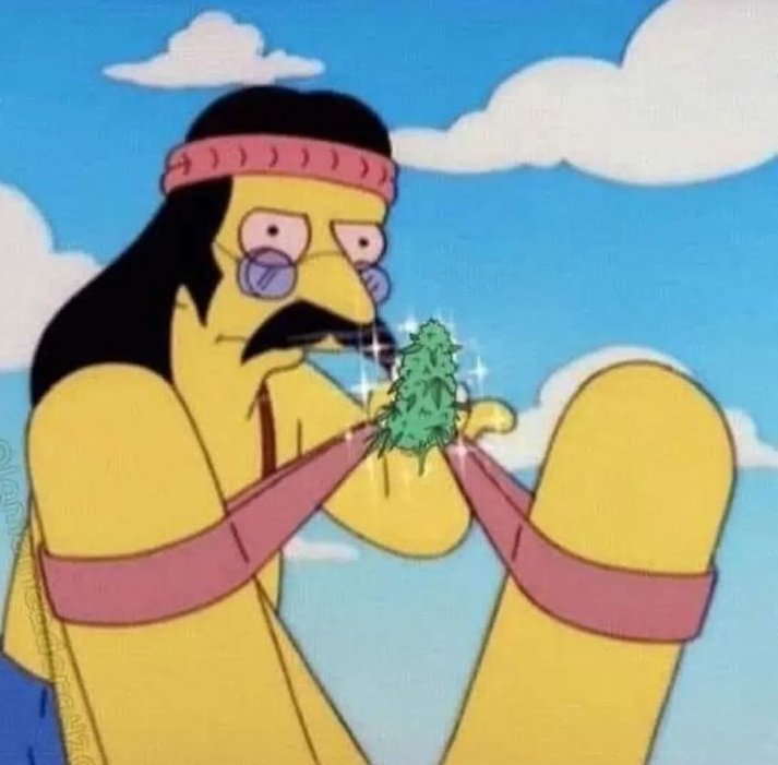 archivoZIP's tweet image. 