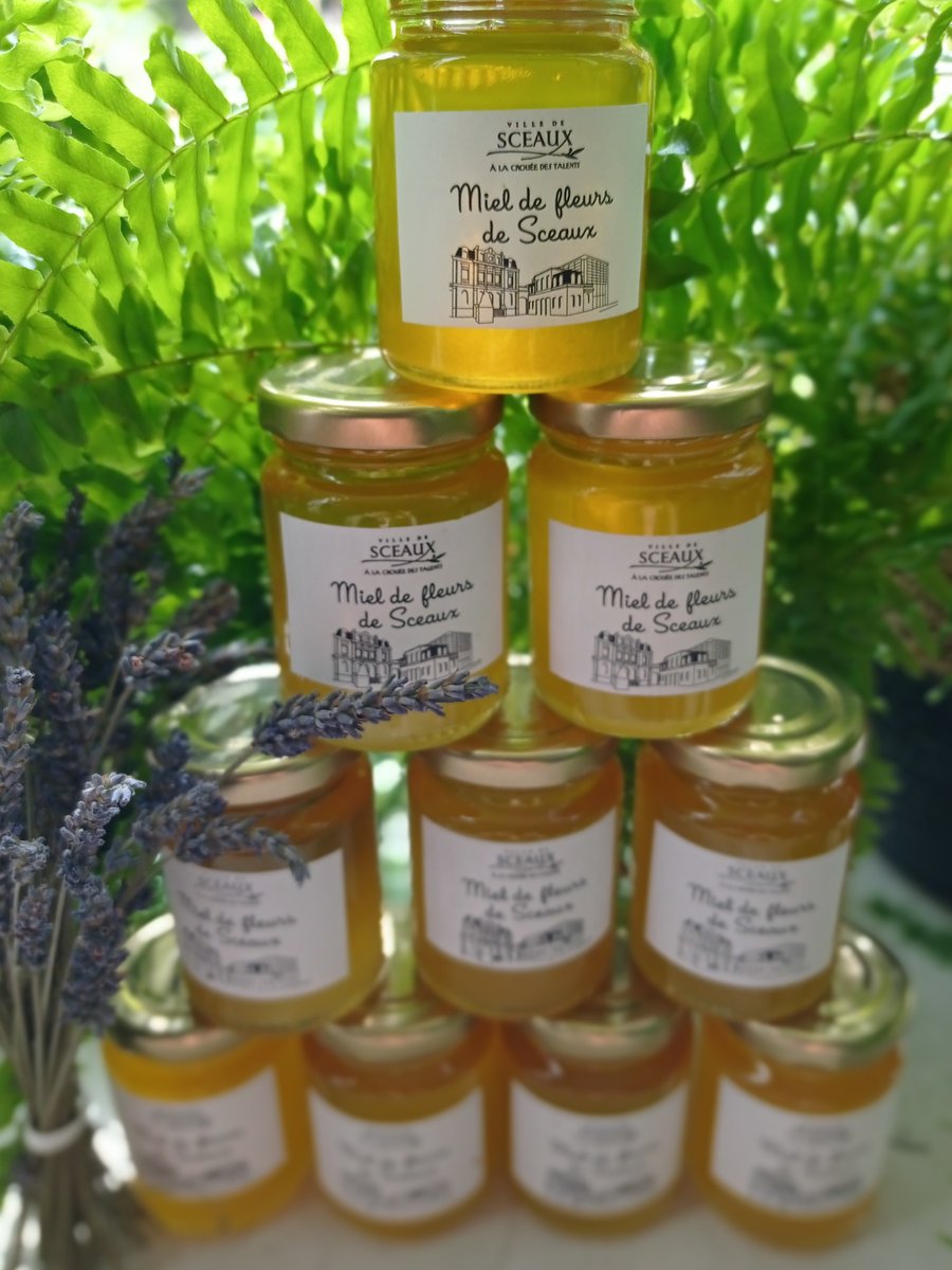 Ville_de_Sceaux's tweet photo. 🍯 Malgré un printemps très humide, la production de #miel a été bonne cette saison !

🐝 Les 4 #ruches installées dans le parc de l’hôtel de ville de ont permis une récolte de 60 kg de miel ! https://t.co/IOlVD6WBXX