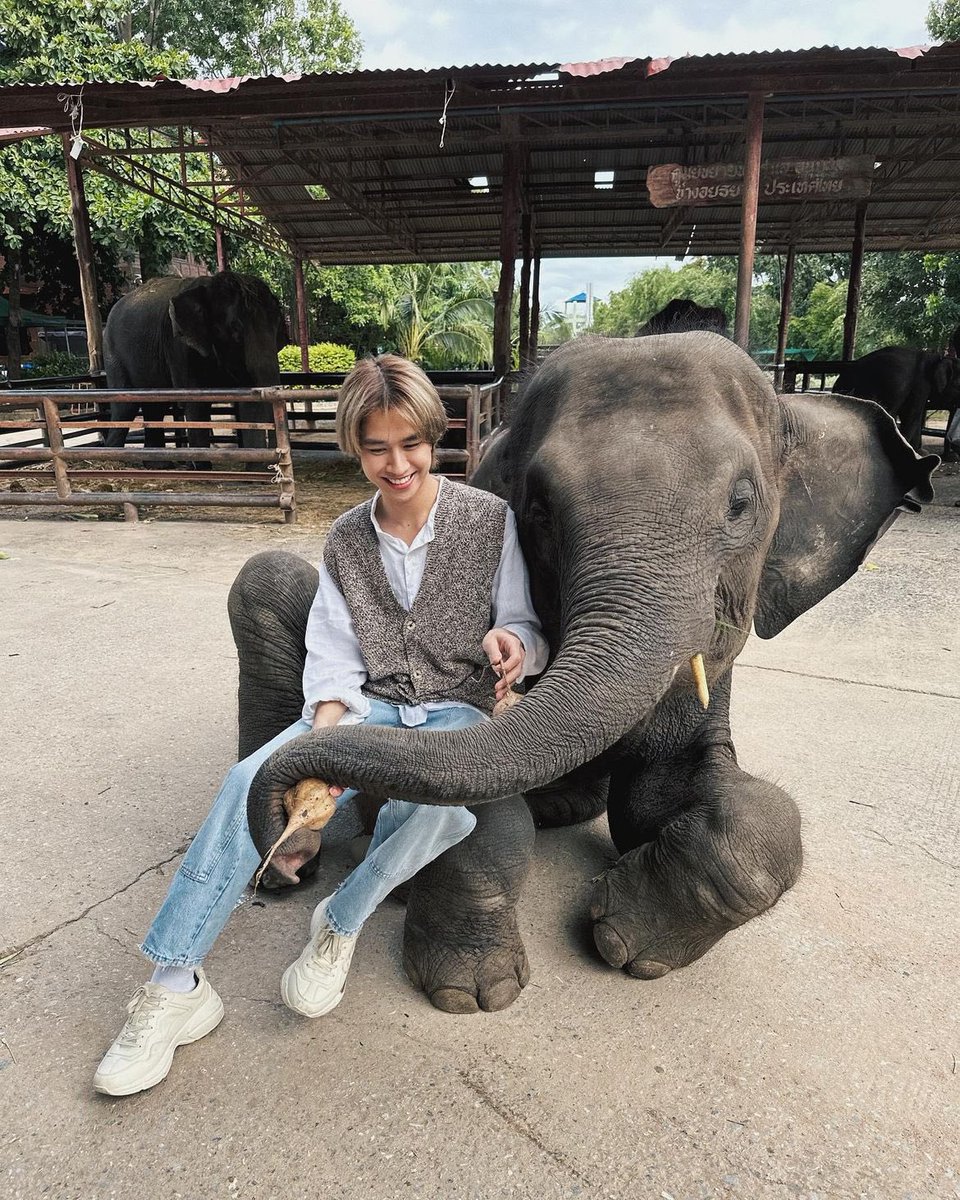 krapecake's tweet photo. นัลลัคมั่กอ่า อิสสา เราก็อยากไปเล่นกะช้างเหมือนกันนะ อยากลูบหัวบ้าง 🥹🥹🥹🥹🥹🥹🥹🥹🥹🥹🥹🥹🥹🥹🥹🥹🥹🥹🥹🥹🥹🥹🥹🥹🥹🥹🥹🥹🥹🥹🥹น้องน่ารักมากเรย อ้อนด้วย เป็นงานมาก ตัวเก่งจังงับ 😭😭😭😭😭😭😭😭😭😭😭
©fluke_natouch
#เจ้าแก้มก้อน #fluke_natouch
#Judo_tantachj https://t.co/Ddg1pkn4vY