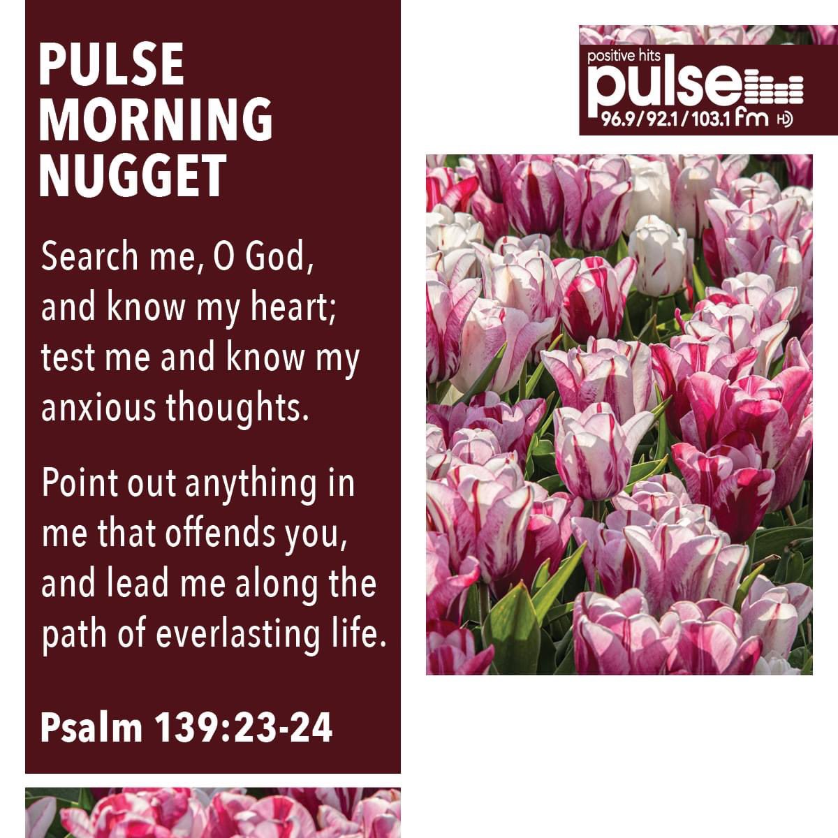 PULSE FM - 96.9/92.1/103.1 HD (@pulsefm) on Twitter photo 