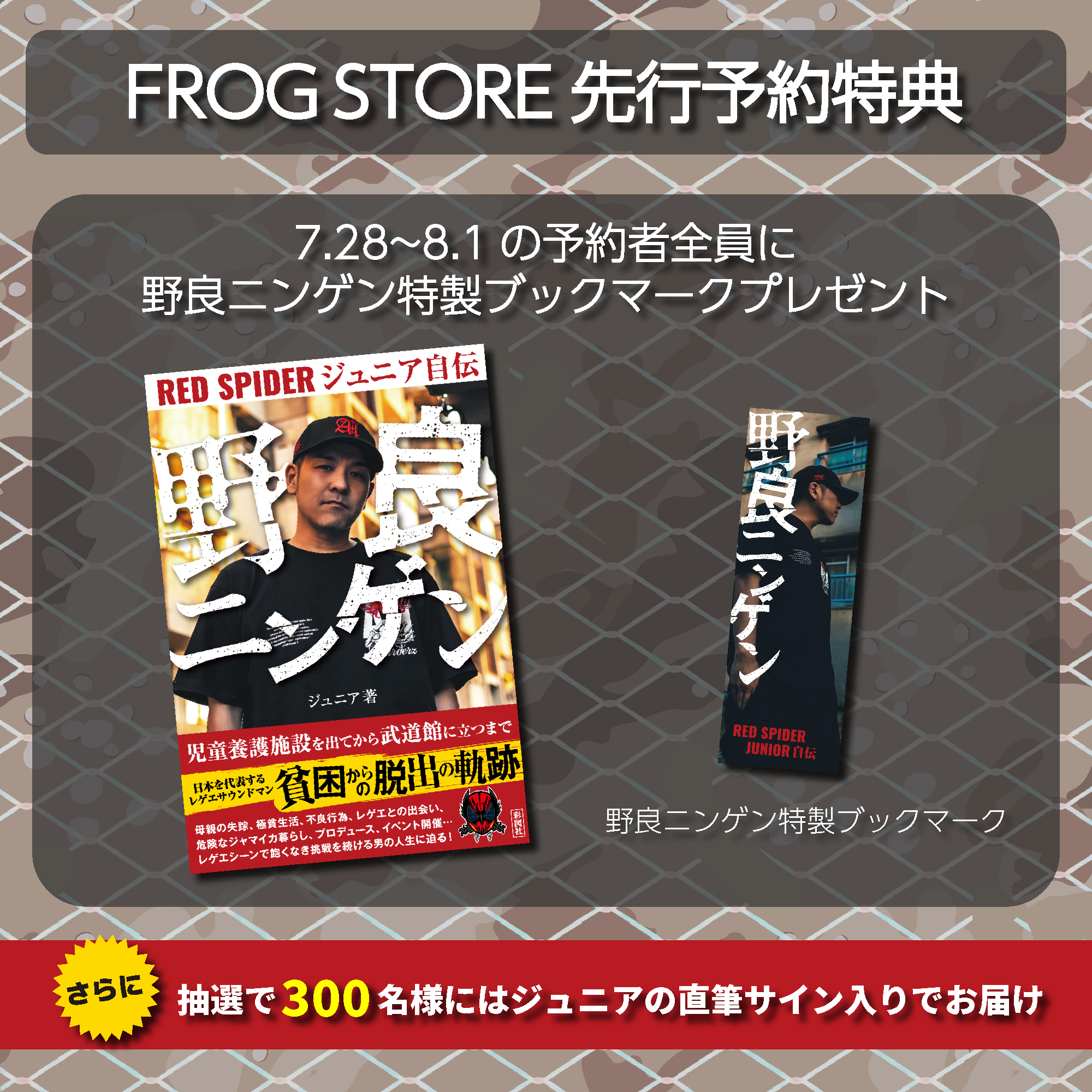 カエルスタジオ🐸 on X: 