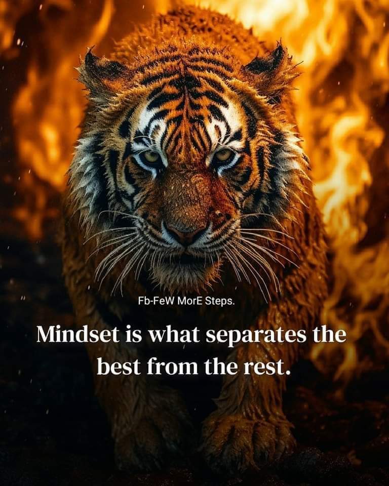 MindsetBeautify's tweet photo. Change Your Mindset To Change Your Life ☺💜 https://t.co/x2GrfiBMCj