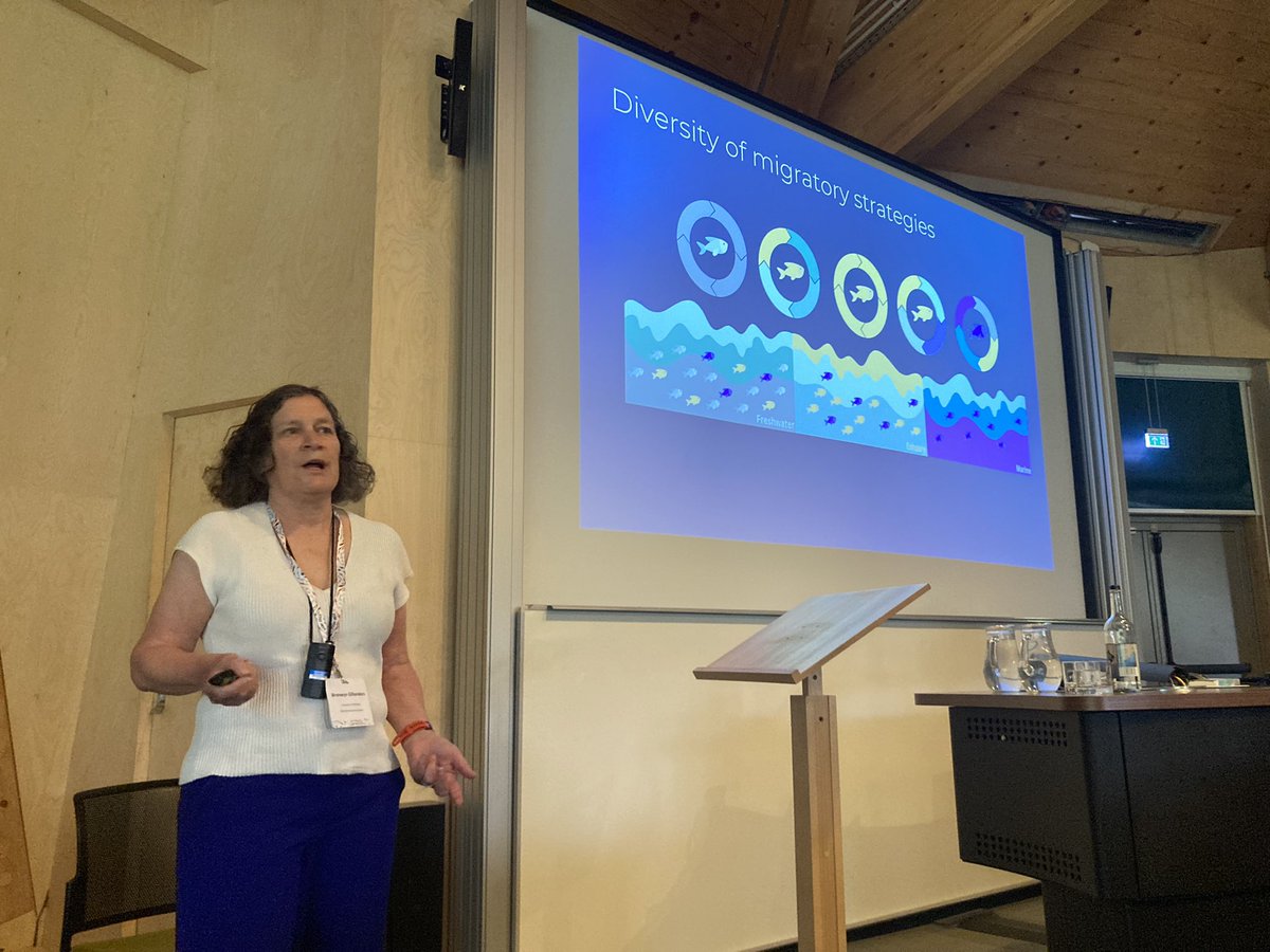 Great keynote by Bronwyn Gillanders @BronGillanders in the @SeaUnicorn2020 session on #marine #connectivity at the #FSBI2023 conference. All you ever wanted to know about connectivity variation and partial migration in marine fish, including during their after life as fish&chips