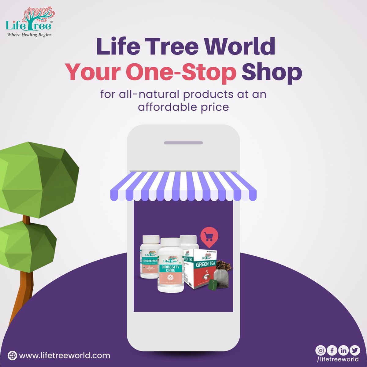 We have all-natural products or supplements that you need daily.

Check out our store at - lifetreeworld.com
.
.
.
#allnaturalproducts #naturesupplements #wellnessjourney #healthylifestyle #naturepower #dailyessentials #selfcare #naturalwellness  #lifetreeworld
