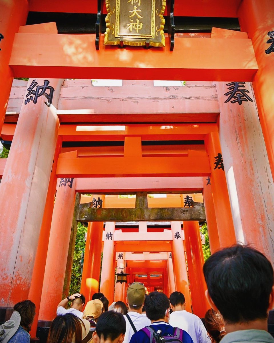 KNOCKltd's tweet photo. I wouldn't be surprised if it was your dream to walk through this place. Although the crowds are large during holidays, Fushimi inari still gives you a wonderful experience. #japan #fushimiinari #kyoto #travel #japaneseculture #letsseejapan https://t.co/teHn5rFthH