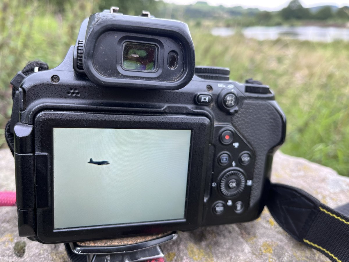 Mightychub's tweet image. Snap shot, sound of my childhood #fastjets 10:03 Jet Provost east over #Wyverlane #Ambergate &amp;amp;beyond looked like BAC P84 Jet Provost Mk.52 c/n PAC/W/23905 (South Arabian Air Force #104) (G-PROV) #BOC #eyestotheskies Little Egret