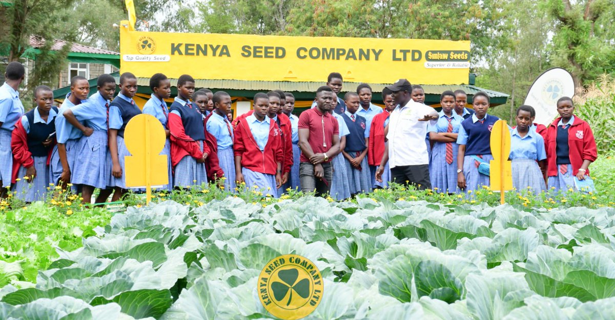 kenyaseedltd's tweet photo. The ongoing ASK Kisumu show is blazing hot!!
More and more farmers are getting enlightened on how to improve their farming through climate smart agriculture iniatiatives and seeds. Usiachwe nyuma. Visit our stand and feel the experience.
#ask
#simlawseeds
#topqualityseed https://t.co/cPZrvYV9rN
