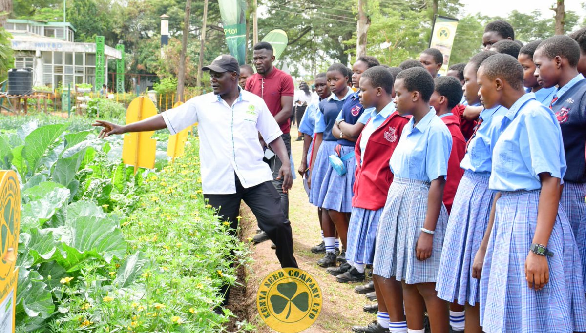 kenyaseedltd's tweet photo. The ongoing ASK Kisumu show is blazing hot!!
More and more farmers are getting enlightened on how to improve their farming through climate smart agriculture iniatiatives and seeds. Usiachwe nyuma. Visit our stand and feel the experience.
#ask
#simlawseeds
#topqualityseed https://t.co/cPZrvYV9rN
