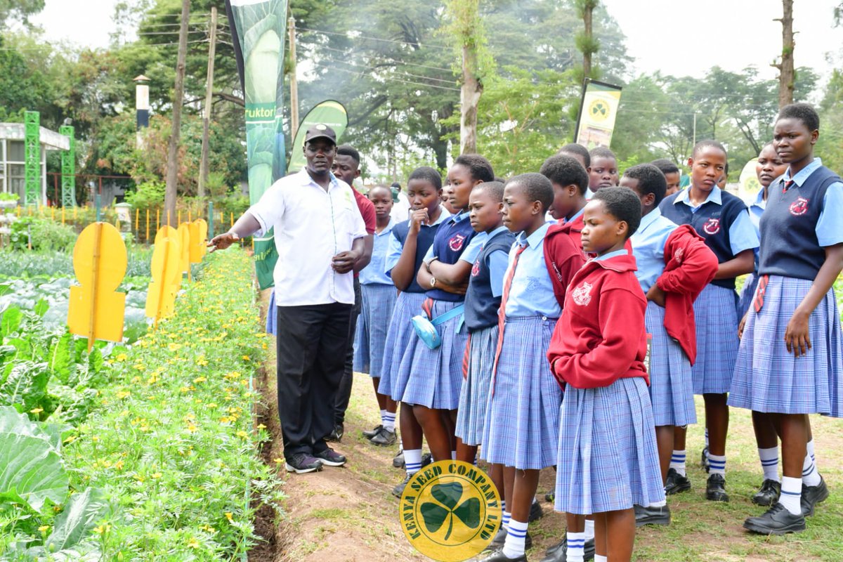 kenyaseedltd's tweet photo. The ongoing ASK Kisumu show is blazing hot!!
More and more farmers are getting enlightened on how to improve their farming through climate smart agriculture iniatiatives and seeds. Usiachwe nyuma. Visit our stand and feel the experience.
#ask
#simlawseeds
#topqualityseed https://t.co/cPZrvYV9rN