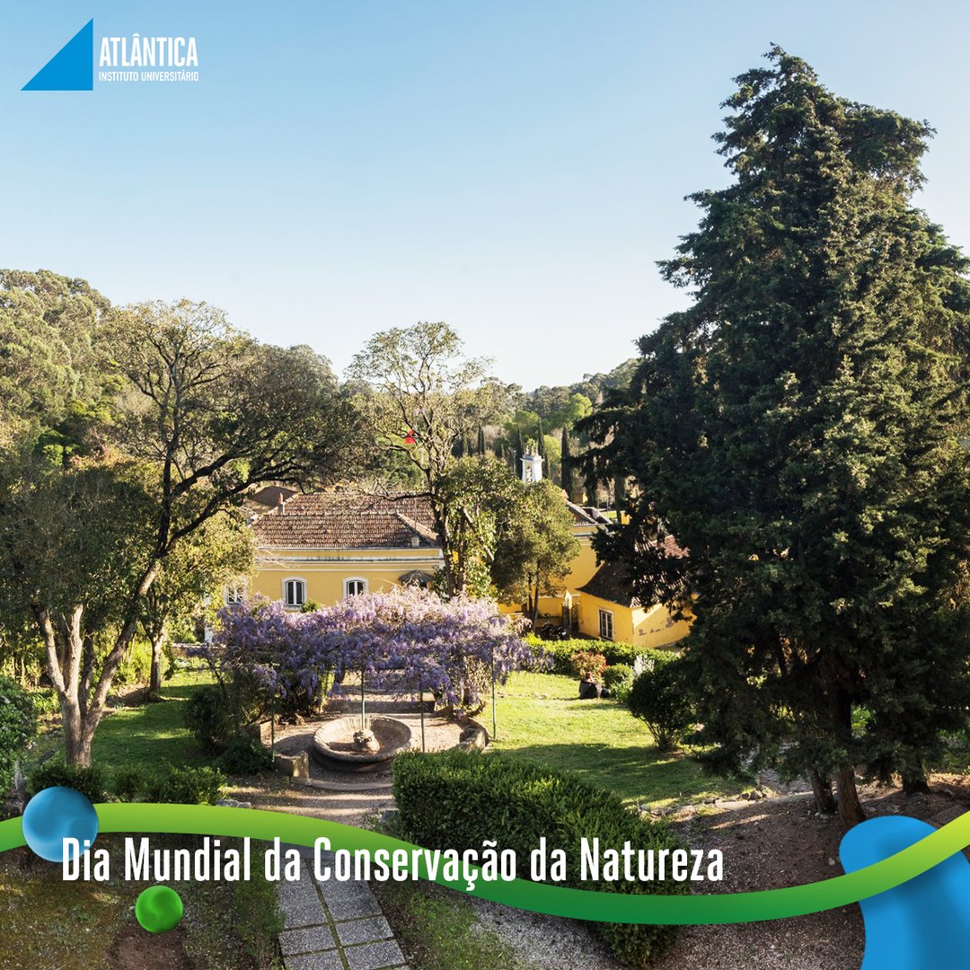 É importante consciencializar as pessoas para os problemas da natureza e para a necessidade urgente da sua conservação. 🌎

#Atlantica #AtlanticaInstitutoUniversitario #InstitutoUniversitario #ProudToBeAtlantica #SegueOTeuRumo #ConservaçãoDaNatureza