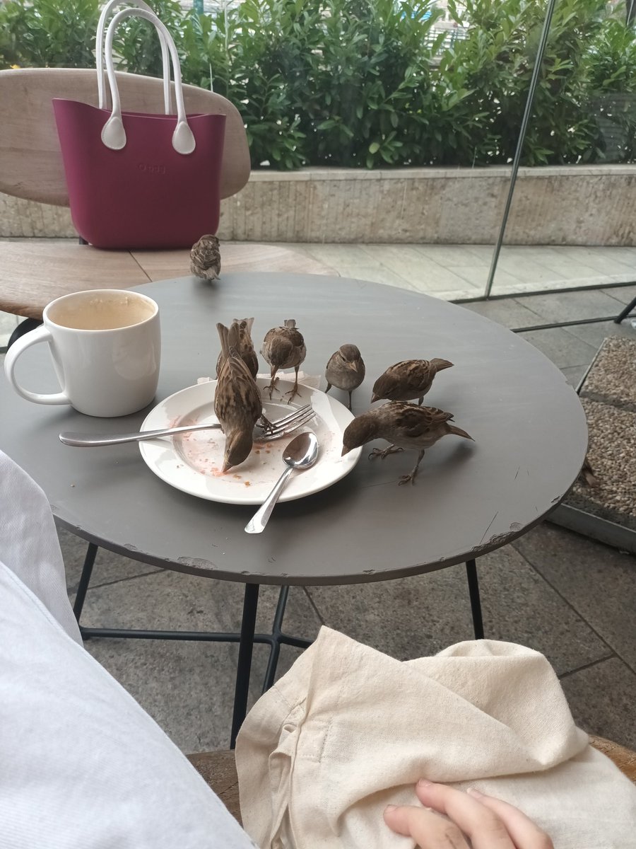Villauuu's tweet photo. THEY FUCKING ATE IT https://t.co/SWIHANRpoK