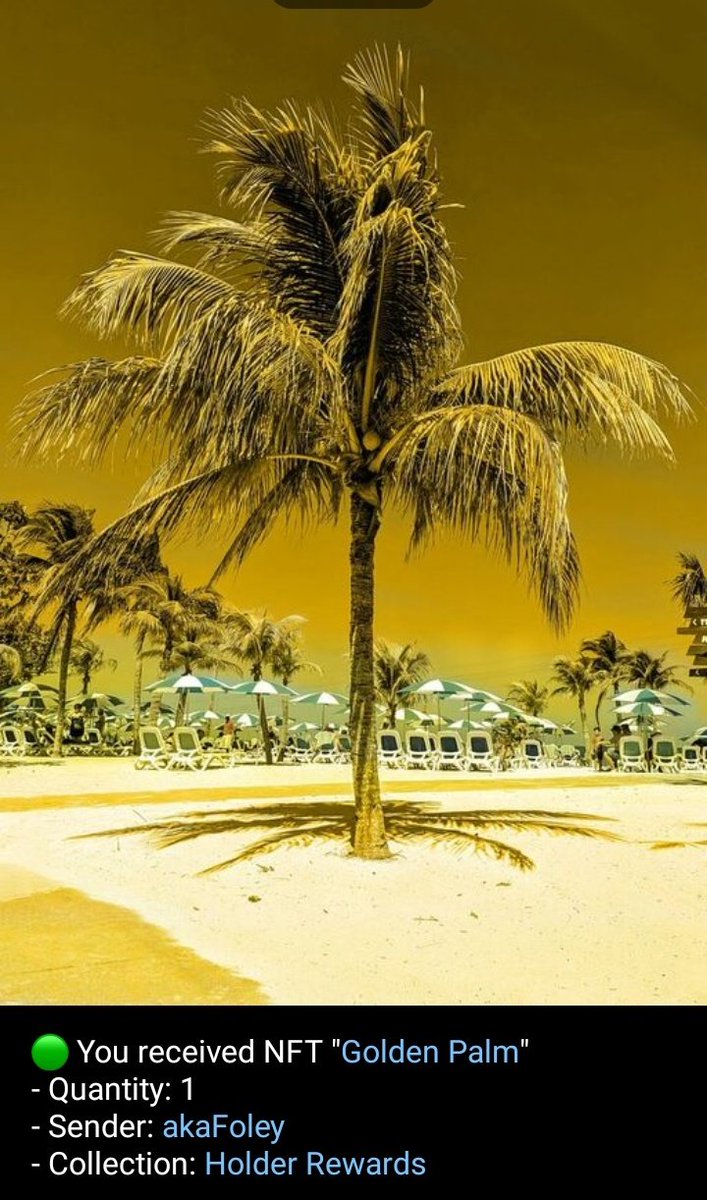 I'm super stoked to receive this Holder's Reward: Golden Palm on Objkt by the amazing one &amp; only <a href="/akaFoley/">aka𝗙𝗼𝗹𝗲𝘆 💎💜</a> 🌴❤️‍🔥🌹
Thank you soup muchhhh my soup buddy! I'm a proud holder of your awesome works!! 🌸✨🩷

Here's the link of his works:

objkt.com/profile/tz1dct…