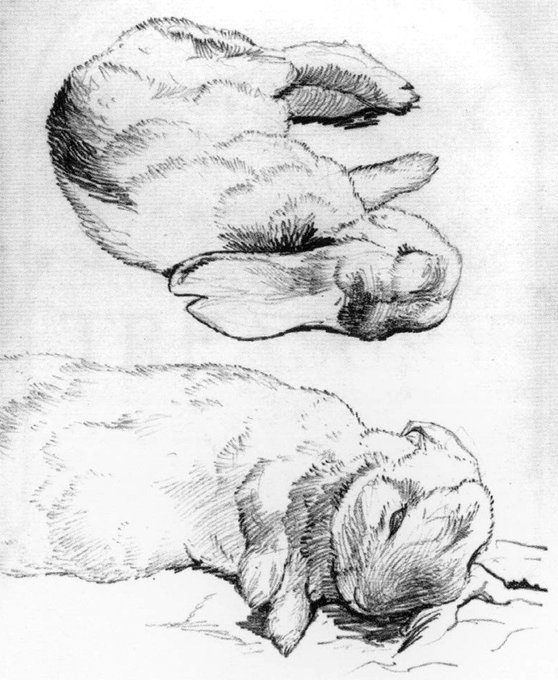 IllusDept's tweet photo. ❝There is something delicious about writing the first words of a story. You never quite know where they’ll take you.❞

—Helen Beatrix Potter, born on this day, July 28, in 1866 https://t.co/7vq2UMfsLr