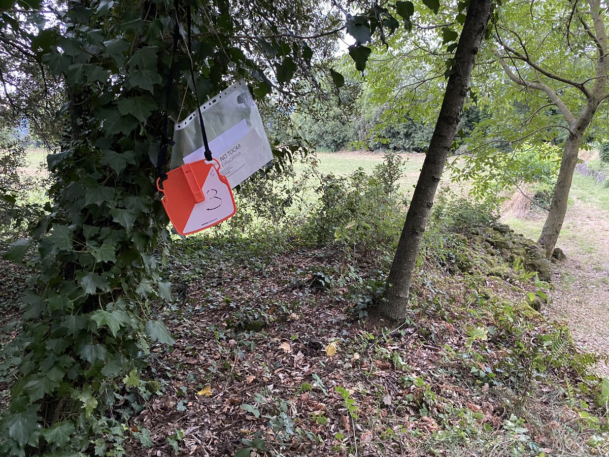 inncredu's tweet photo. 👉🏽A @creixambdansa hem descobert l’entorn amb una cursa d’orientació amb l’app #Iorienteering i dinàmica #AICLE 

🤔Per completar-la calia descobrir el personatge secret que s’amagava darrera les fites

🌋Una bona manera d’acostar-se a la realitat volcànica de la #Garrotxa https://t.co/o386Vw8rK4