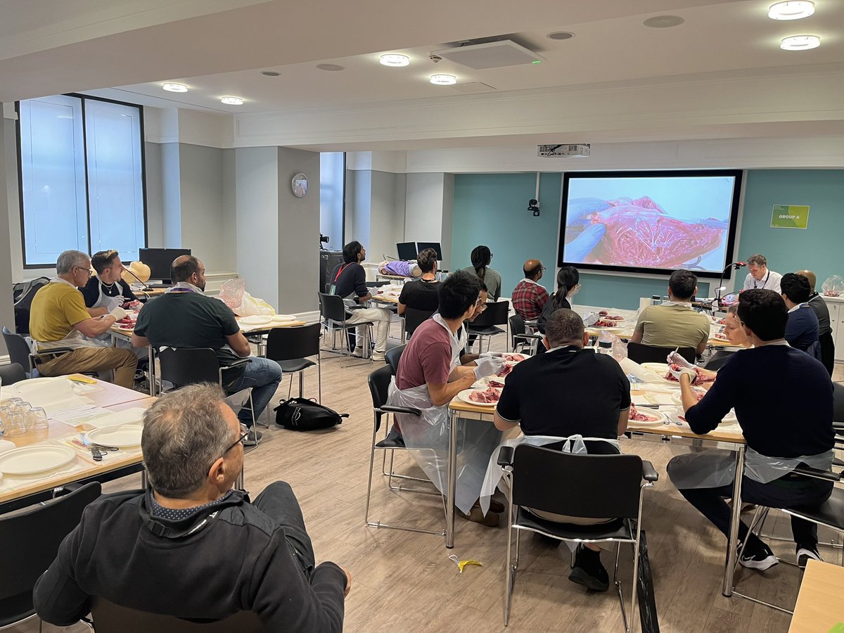 Bart’s and Nepean advanced critical care echo course kicking off with Sam taking us through heart dissection! <a href="/iceman_ex/">Segun Olusanya (He/Him) iceman_ex@critcare.social</a> <a href="/drhazemlashin/">Hazem Lashin</a> <a href="/chrisfduncan/">Chris Duncan</a>