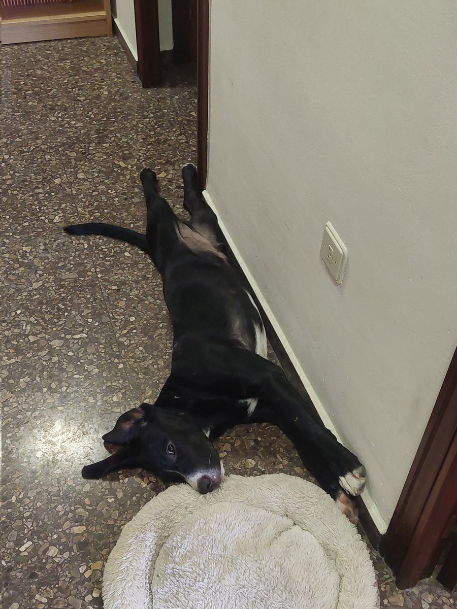 🌸 N 🌸 tweet media