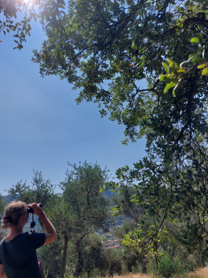 AgroEcoDiv tweet media