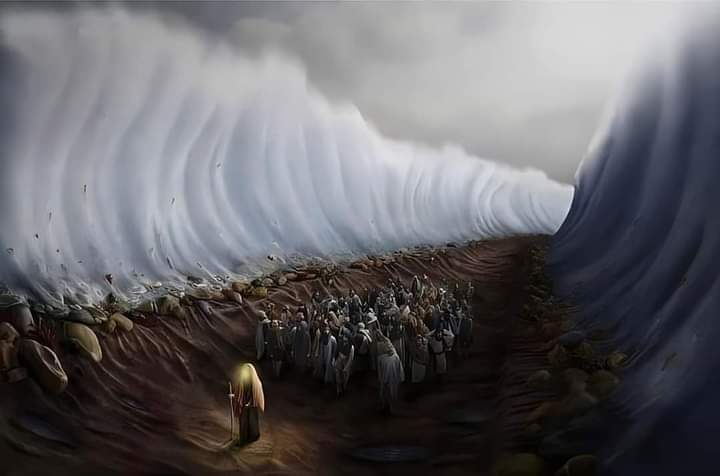 ﴿ قَالَ قَدْ أُوتِيتَ سُؤْلَكَ يَا مُوسَىٰ ﴾

في مثل هذا اليوم قبلت لموسى
سبع حاجات أجابها الله دفعة واحدة
احشد رغباتك في يوم عاشورا
وأكثر سؤالك واهتف بكل حاجاتك
فربما لحظة يقال لك قد أوتيت سؤلك
اللهم كما آتيت موسى سؤله
آتنا سؤلنا إنك على كل شيء قدير ..