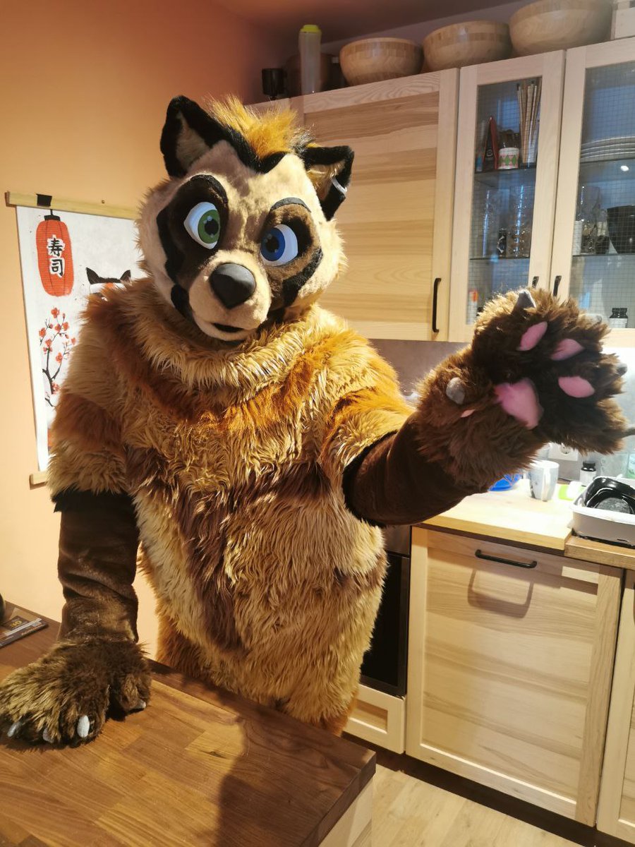 HarukiTanuki's tweet photo. Happy #FursuitFriday  

Suit by @Komickrazi https://t.co/f8BE3ZUvjo