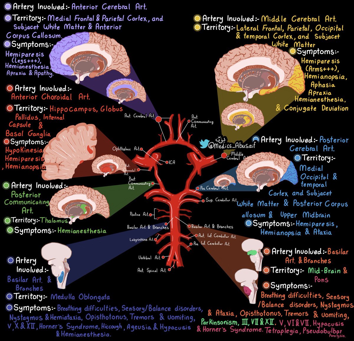 OGdukeneurosurg's tweet photo. Circle of Willis Functions by vessel by @medics_AbuSaif https://t.co/WzfD9PVdMI