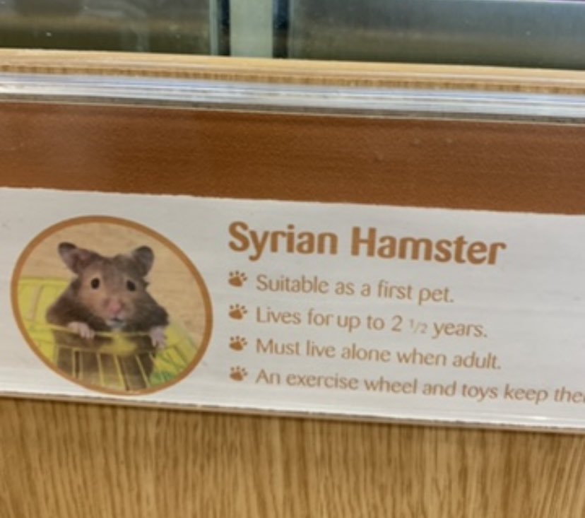 Chris Hampshire tweet media