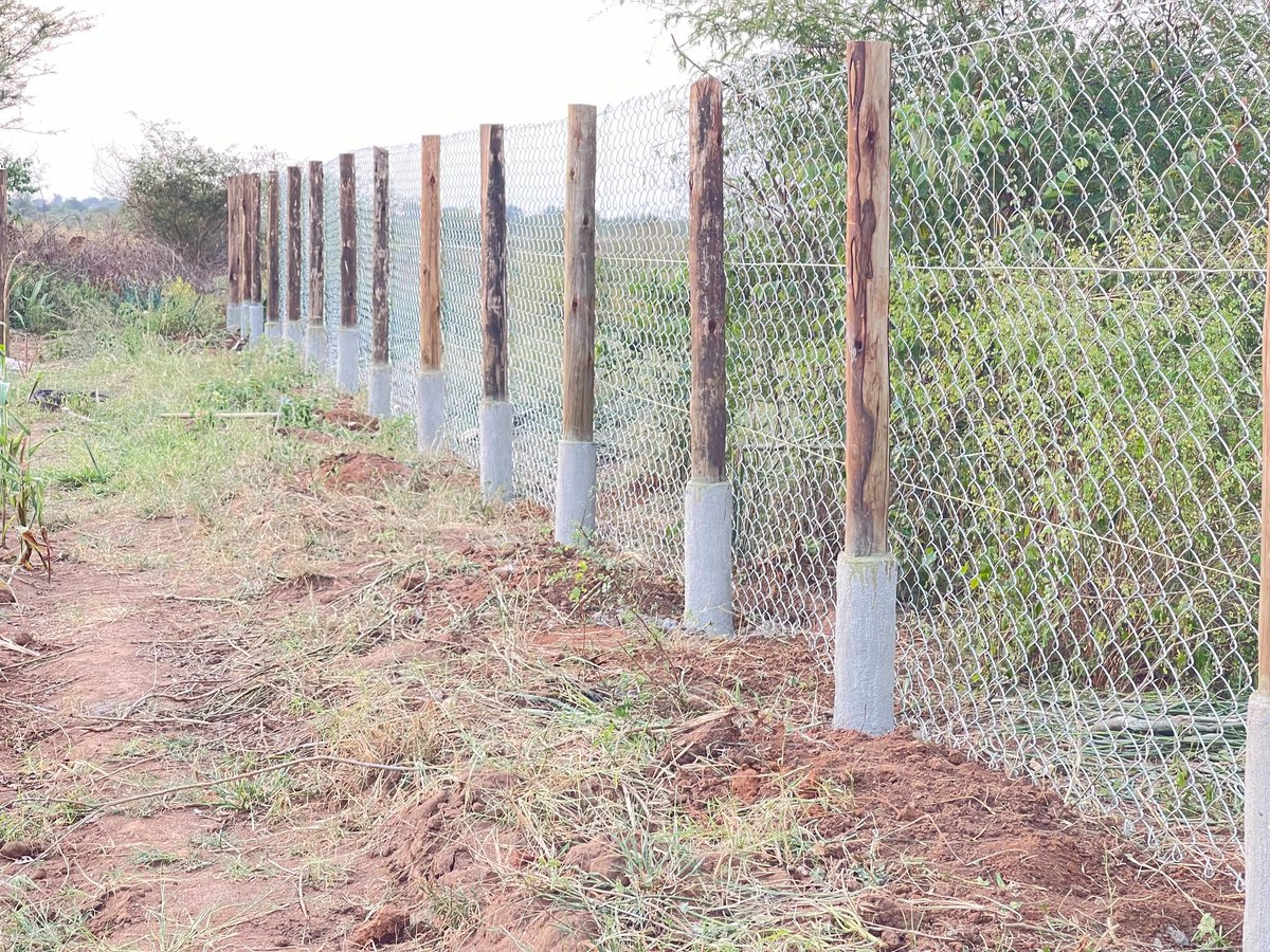 Modern fence, your thoughts?

#fence #farming #farmsecurity