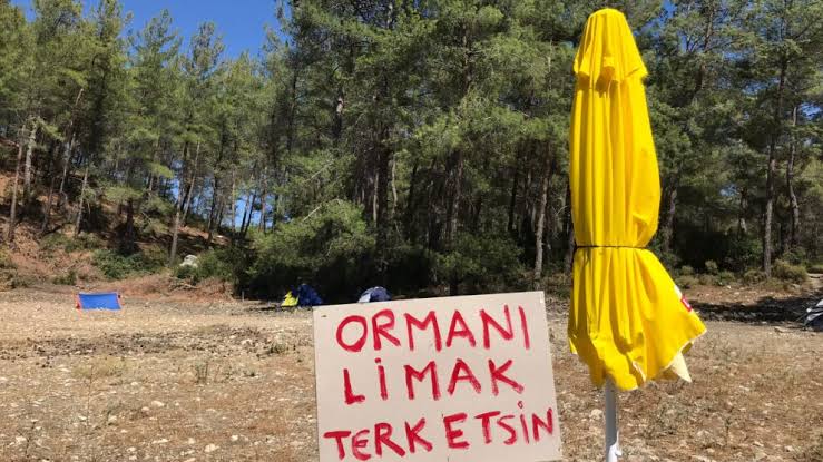 KaosGL's tweet photo. “LGBTİ+’lar Akbelen mücadelesinin yanında”
Direnişin Renkleri İzmir’den Akbelen ormanlarındaki ekolojik yıkıma karşı açıklama.
https://t.co/asW1qnWbHd
@DirenisinR https://t.co/5Vellgqy32