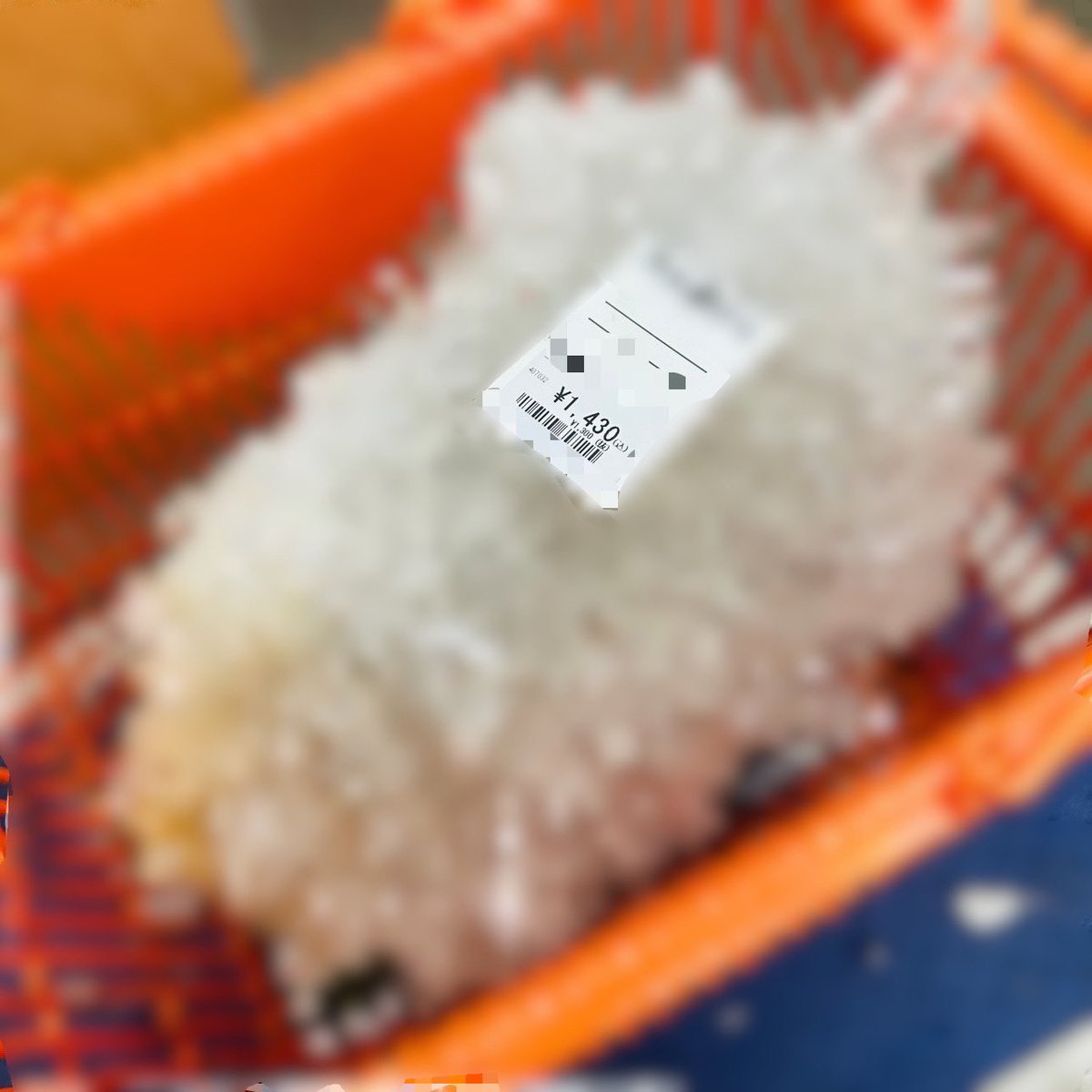 karisuma_sedori's tweet photo. たったの1430円仕入れの
店舗でゴミ扱いされてた商品が

5万8千円で、1週間で即売れ‼️

一撃5万円💸💸💸

これが、ニッチジャンルの破壊力です✨✨

ライバルは、不在！！

ちなみにこのジャンルを、僕以外で
やっているのは
知る限り、
全国でも1人のみです！！

まさかこのジャンル　
やってる人いるんやと
この前Twitterを見て思いました！！

ちなみに、皿じゃないからね！！

このジャンルは、
リピートできるし、
利益率も利幅もバグります😄

フォロワーのみ
いいね　or リツイートで

モザイクなし写真、売り方解説など
プレゼントします。

新しいジャンル広げよう✨✨

中古せどりはなんでも売れる！！

常識にとらわれず、視野を広く持とう✨✨

月利上げていきましょう✨✨

↓LINE@に
https://t.co/AVG7p2tYuL

フォロー　いいね or RTの
スクショ送っていただき！！

プレゼント　と打ち込んでいただければ
弾丸即で送らせていただきます✨