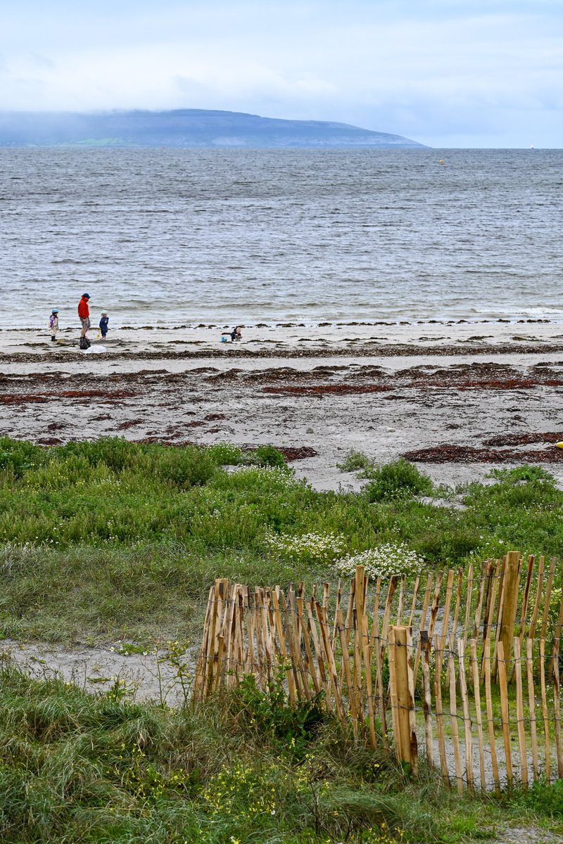 MOConnell07's tweet photo. #Galway #Salthill has sand dunes on its doorstep at Grattan Beach. A fine amenity but blowing sand inconvenient for nearby houses. Changes brought about in a month by fencing have to be seen to be believed. A wild-life garden has appeared out of noplace @ILikeDunes @sandlarks https://t.co/y6KXPBdxTr