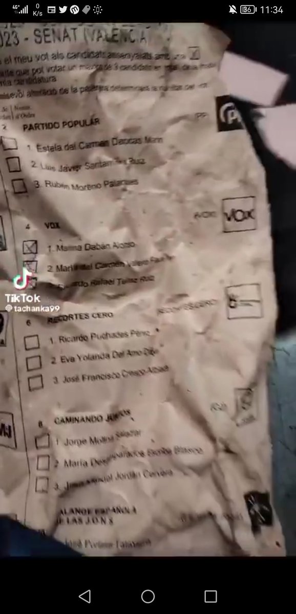 Plasmando_SK's tweet photo. @OrbitaEduardo @vox_es Pues hay un video de tiktok que por su puesto han censurado enseñando papeletas tachadas ya en la basura en Valencia, así¿qué recuento se puede hacer? Precisamente el sobre de ese color a muchos no nos ha llegado a casa y es más fácil de decir que solo votamos al blanco no? https://t.co/ynXulbD1k5