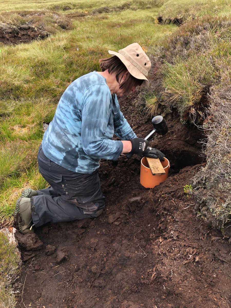 James Hutton Institute (@jameshuttoninst) on Twitter photo Our <a href="/HuttonES/">ES James Hutton</a> field team were recently at #Balmoral taking #peat core samples to measure #hydraulic conductivity.
It can be a hard job just getting the equipment to site!
But it will help us understand peat health and support our peatland team’s #science.
#Fridayinthefield Our <a href="/HuttonES/">ES James Hutton</a> field team were recently at #Balmoral taking #peat core samples to measure #hydraulic conductivity.
It can be a hard job just getting the equipment to site!
But it will help us understand peat health and support our peatland team’s #science.
#Fridayinthefield