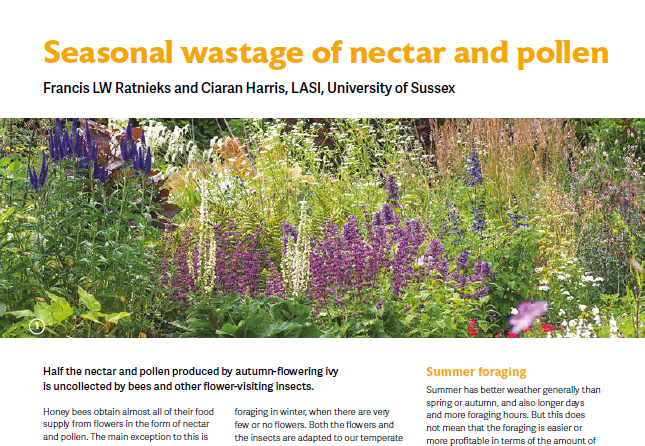 BeeCraftMag's tweet image. Waiting for #ivy? How is your summer harvest? Reports of main flow disappointment after a big spring harvest. 

But we the there's ivy for bees to bulk up for winter. 

Francis Ratnieks &amp;amp; Ciaran Harris, #LASI, tell us about seasonal wastage of nectar &amp;amp; forage in August BeeCraft.