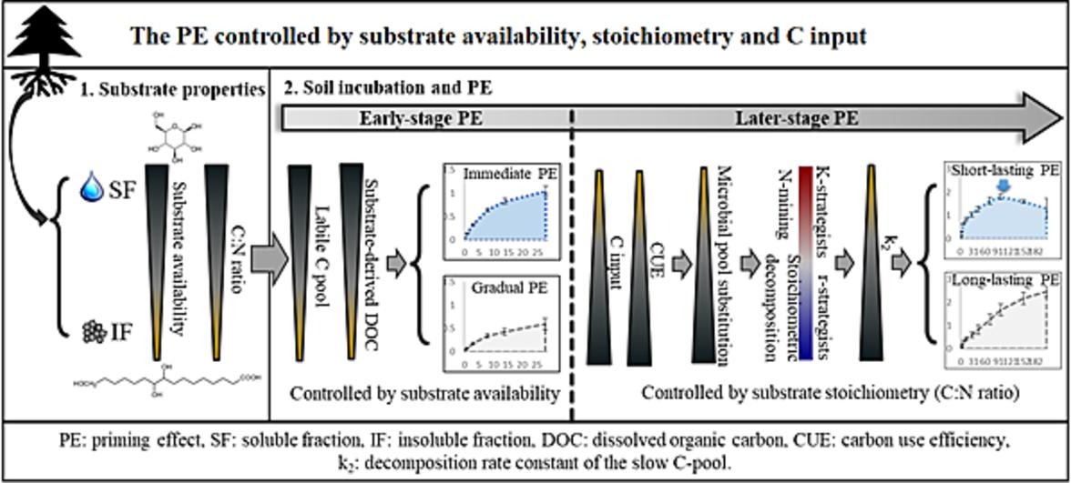 New in Geoderma: 'Early- and later-stage priming effects induced by spruce root fractions are regulated by substrate availability, stoichiometry and C input' by S Yang [...] V Jílková. buff.ly/3K4bZtj @BiologyCentre @UniLeipzig @CharlesUniPRG @JihoceskaUni @GerritAngst