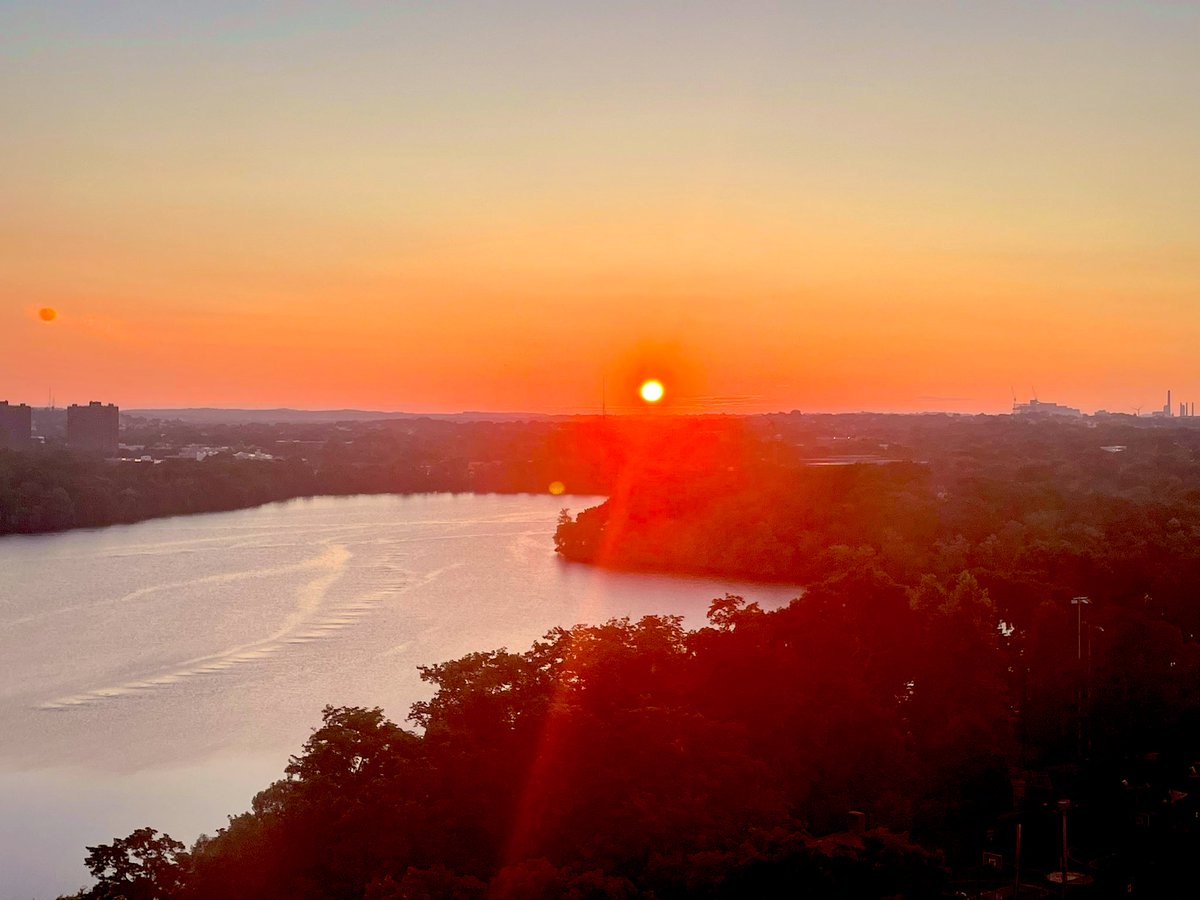 peter payack tweet media