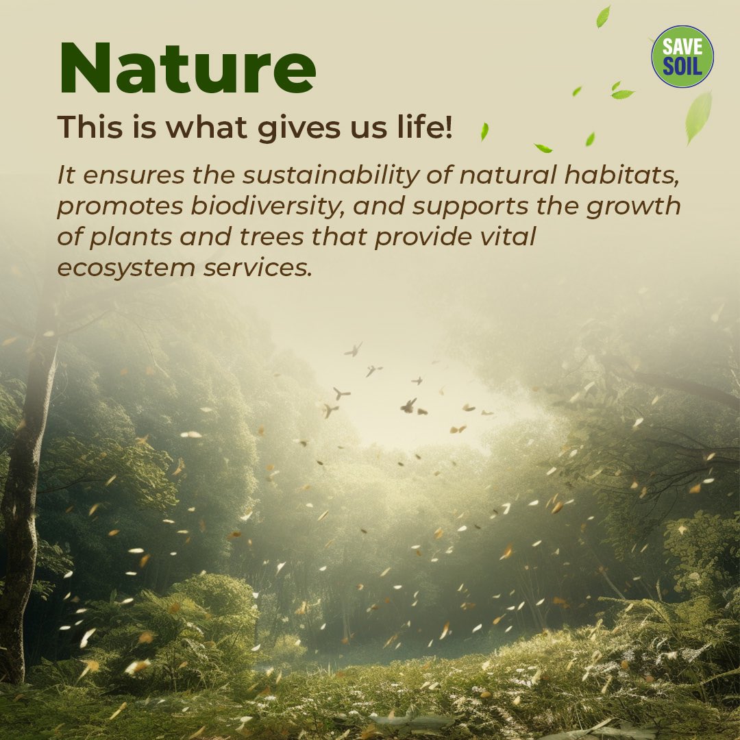 cpsavesoil's tweet photo. What does World Nature Conservation Day mean to you? If you are a part of the world and its nature, it’s not about someone else - it’s about you! And you can help make a future of healthy soil into reality: by sending a letter to your leaders and policymakers, wherever you live. Not sure how? No problem! Follow the link and we’ll help you: https://t.co/uVnQCIZ3pr #SaveSoil