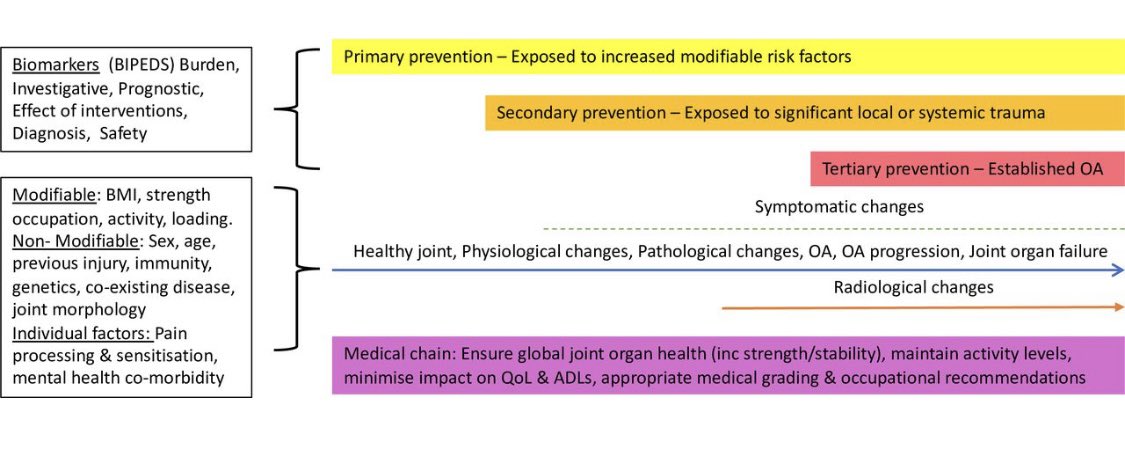 Oliver OSullivan (@ollieosul) on Twitter photo #osteoarthritis is not ‘wear and tear’, it’s far more complex,influenced by individual factors!Those in the #military are at increased risk, we need to identify, prevent, manage and research. #Biomarkers can help. <a href="/VersusArthritis/">Versus Arthritis</a> <a href="/DMS_MilMed/">Defence Medical Services</a> <a href="/AdvanceStudy/">ADVANCE Study</a> <a href="/MilitaryH_BMJ/">BMJ Military Health</a> #osteoarthritis is not ‘wear and tear’, it’s far more complex,influenced by individual factors!Those in the #military are at increased risk, we need to identify, prevent, manage and research. #Biomarkers can help. <a href="/VersusArthritis/">Versus Arthritis</a> <a href="/DMS_MilMed/">Defence Medical Services</a> <a href="/AdvanceStudy/">ADVANCE Study</a> <a href="/MilitaryH_BMJ/">BMJ Military Health</a>