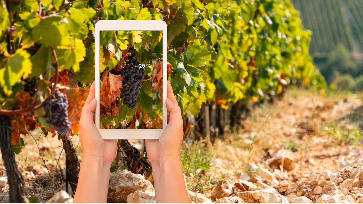 We are recruiting!

💼Job Offer: Data Officer Position at the OIV

Want to be part of an international and dynamic team? 

✉️APPLY now and join the OIV in its pursuit of excellence in wine-related statistics and analysis.

oiv.int/press/job-offe…