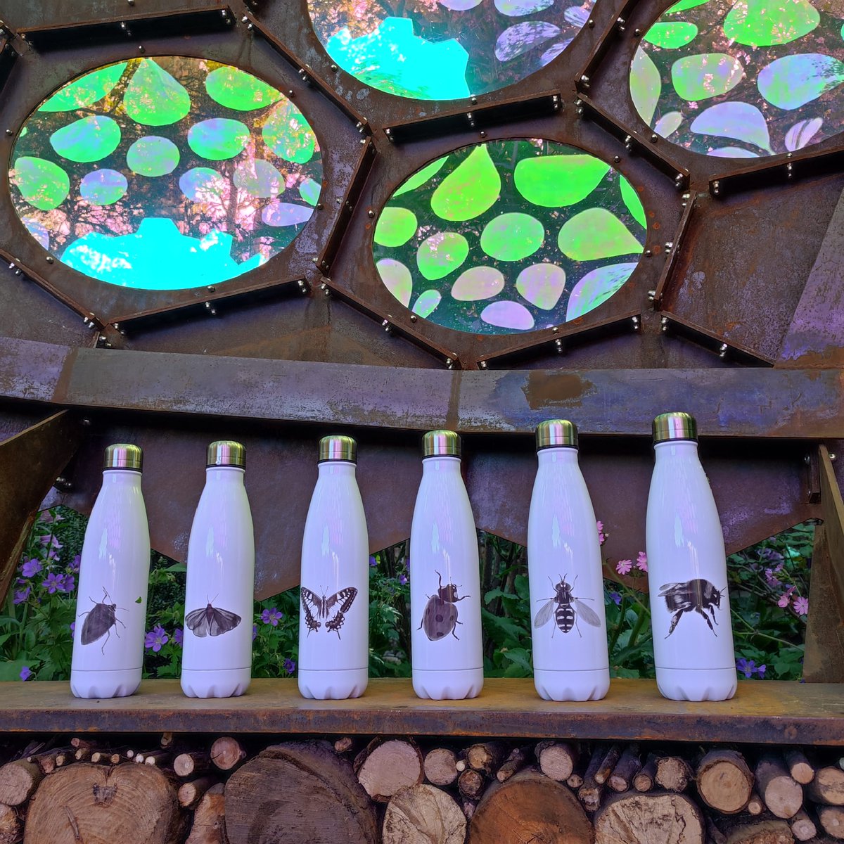RoyEntSoc's tweet photo. #LoveInsects? Shop our #merchandise &amp; #clothing &amp; help enrich the world with #InsectScience 🦋 

Show off your inner #entomologist &amp; make a difference for #insects 🐞

Visit our website for a wide range of items: 

https://t.co/QX81wyhFVR

 #GiftIdeas https://t.co/efA9bzXSSG