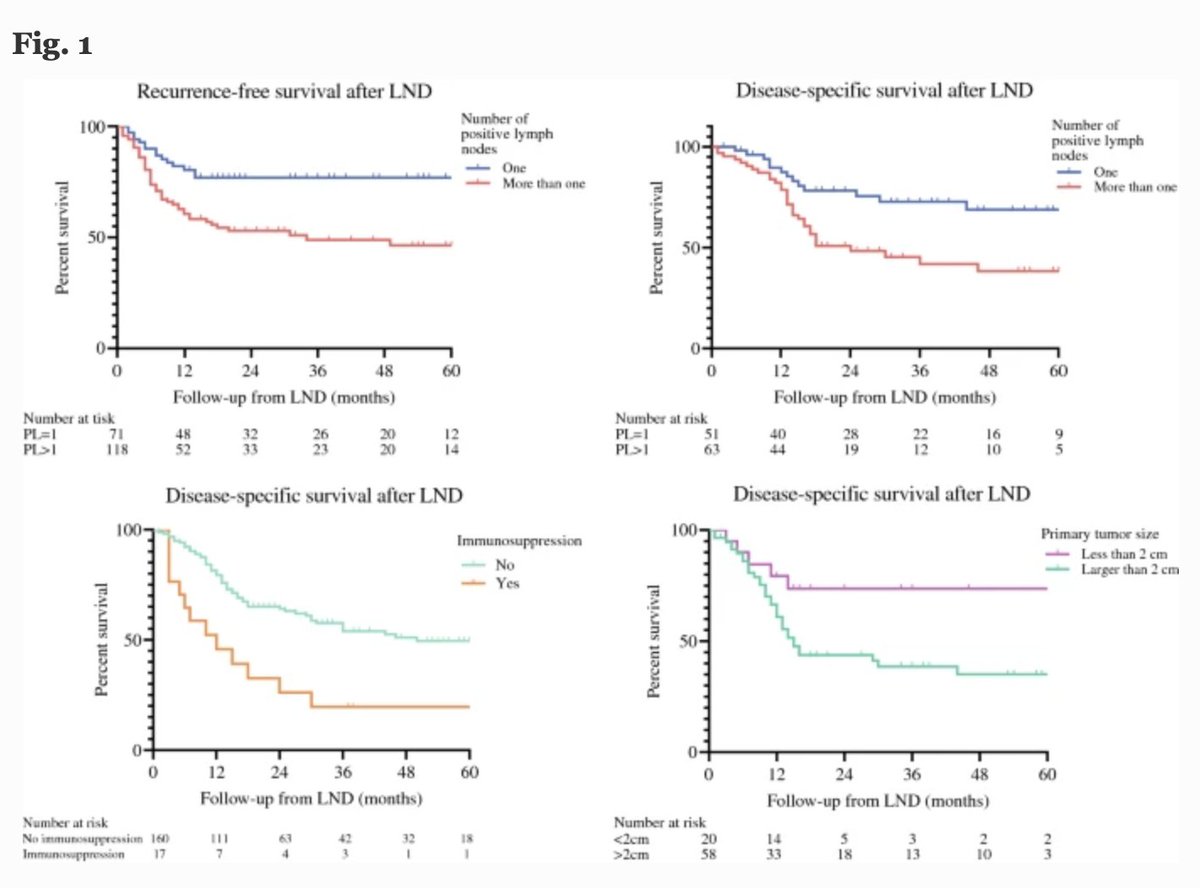 AnnSurgOncol's tweet image. AUGUST ISSUE: Oncological Outcome After #LymphNodeDissection for #CutaneousSquamousCellCarcinoma. rdcu.be/dhJXu @SocSurgOnc