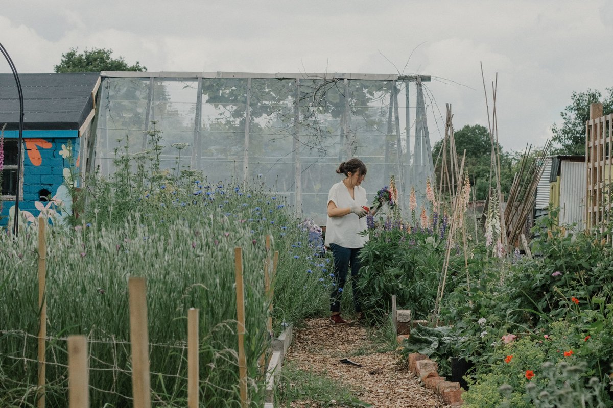 Jane <a href="/BloomSheffield/">Bloom Sheffield</a> said: “Without this funding we wouldn't be able to support the hundreds of women that come to our garden every year. A big thank you to all the National Lottery players for supporting us and other vital community projects.”