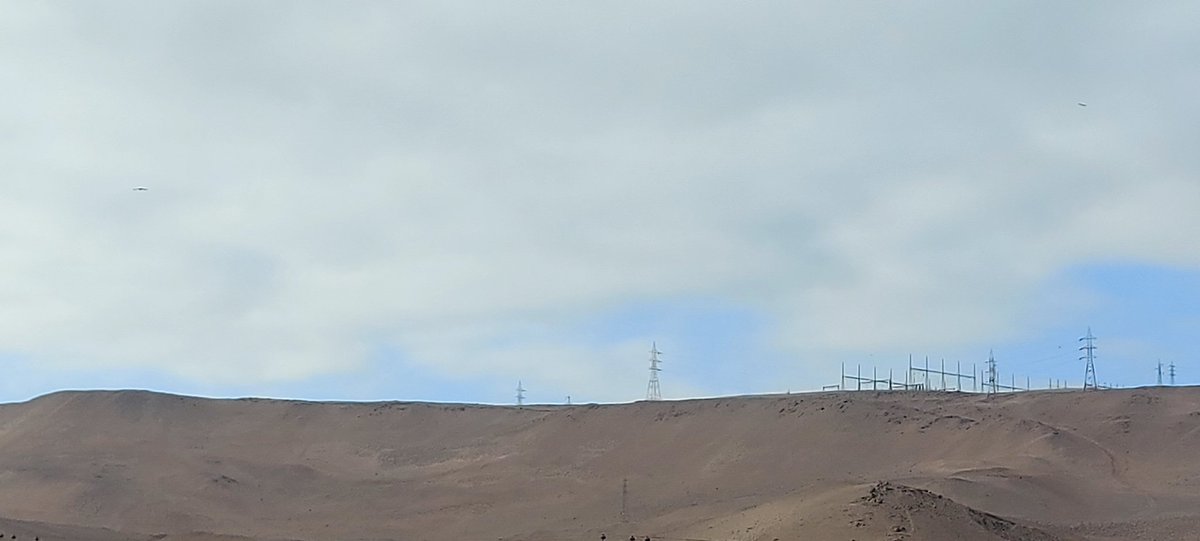 Luis Cerda tweet media