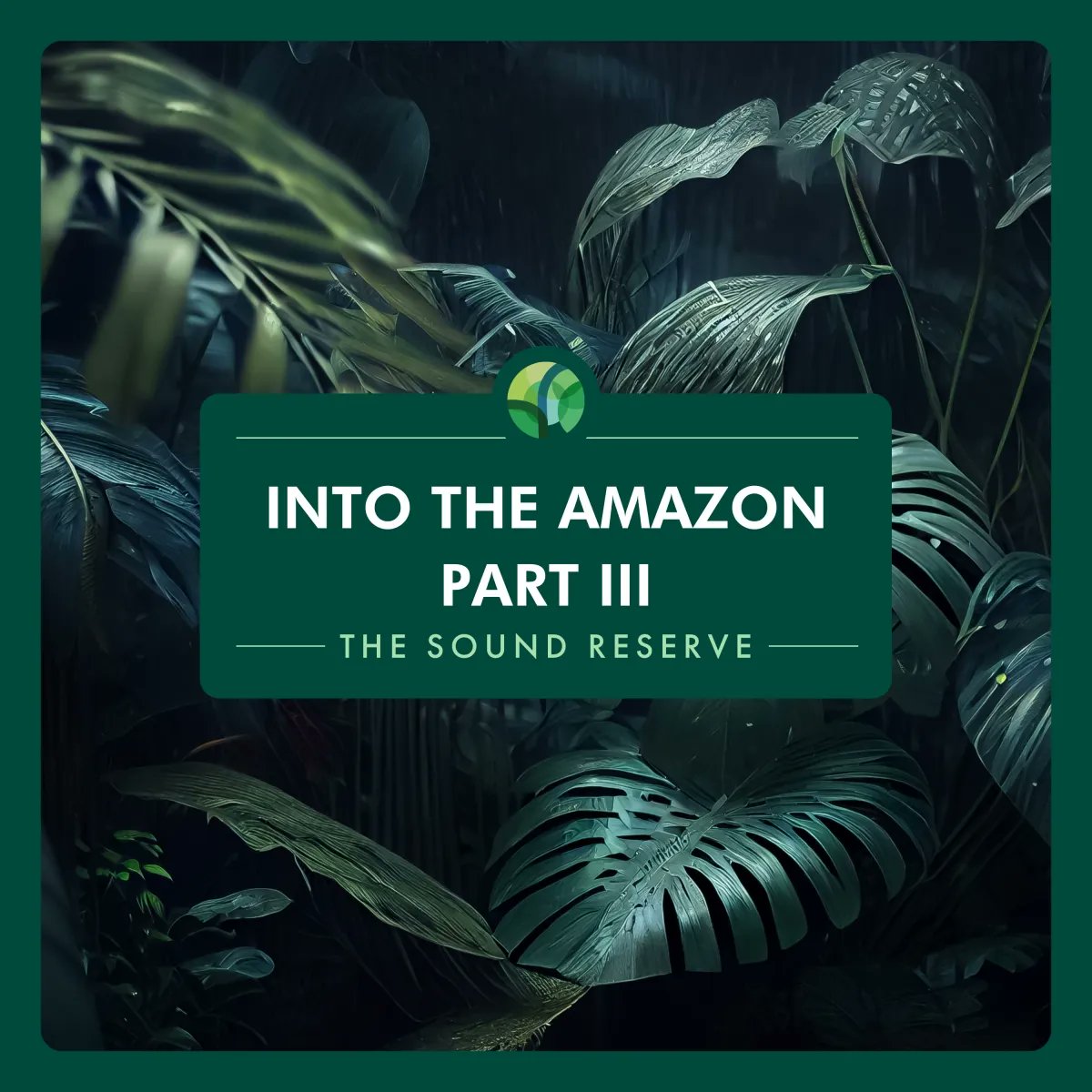 thesoundreserve's tweet photo. OUT TODAY: 'Into The Amazon Part III'. Let the gentle sounds of a flowing river and the rich chorus of insects transport you to a world of peace and calm. Find it now on Spotify and all other streaming services: https://t.co/I4Q7K1l95K https://t.co/BlcltuImnr