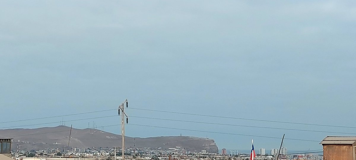 Luis Cerda tweet media