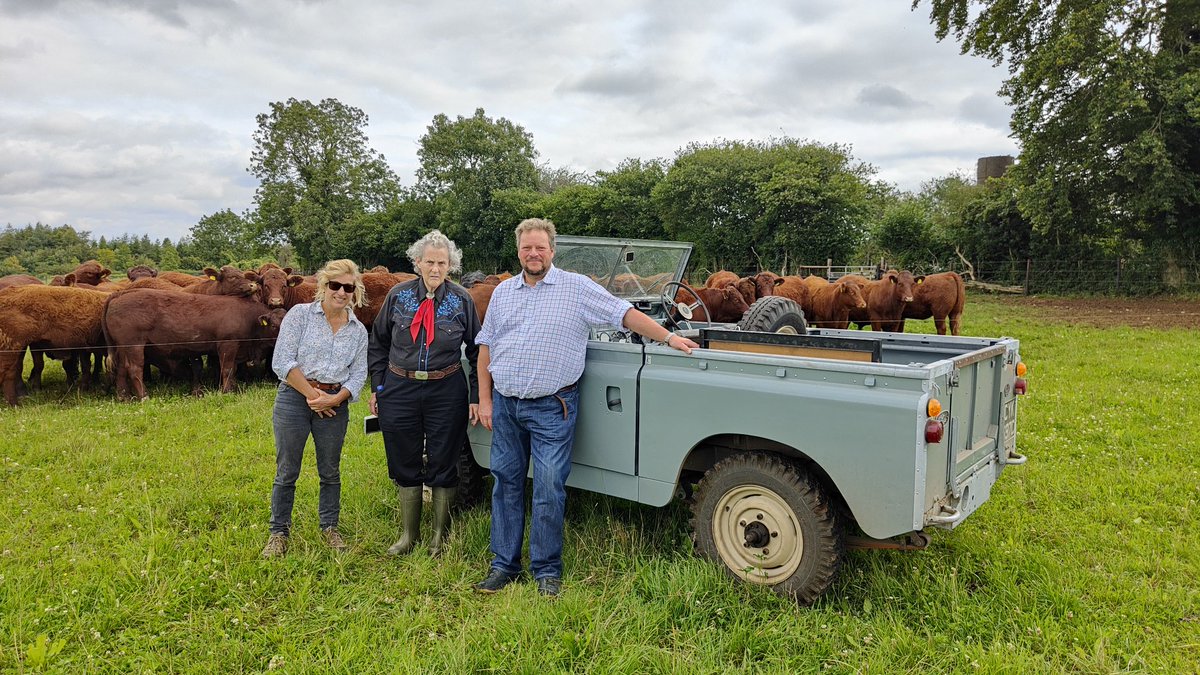 Farmerdbarton's tweet photo. Absolutely fascinating morning with Temple Granding on farm today. I think my cattle handling system got the thumbs up !! https://t.co/55Lipz3u23