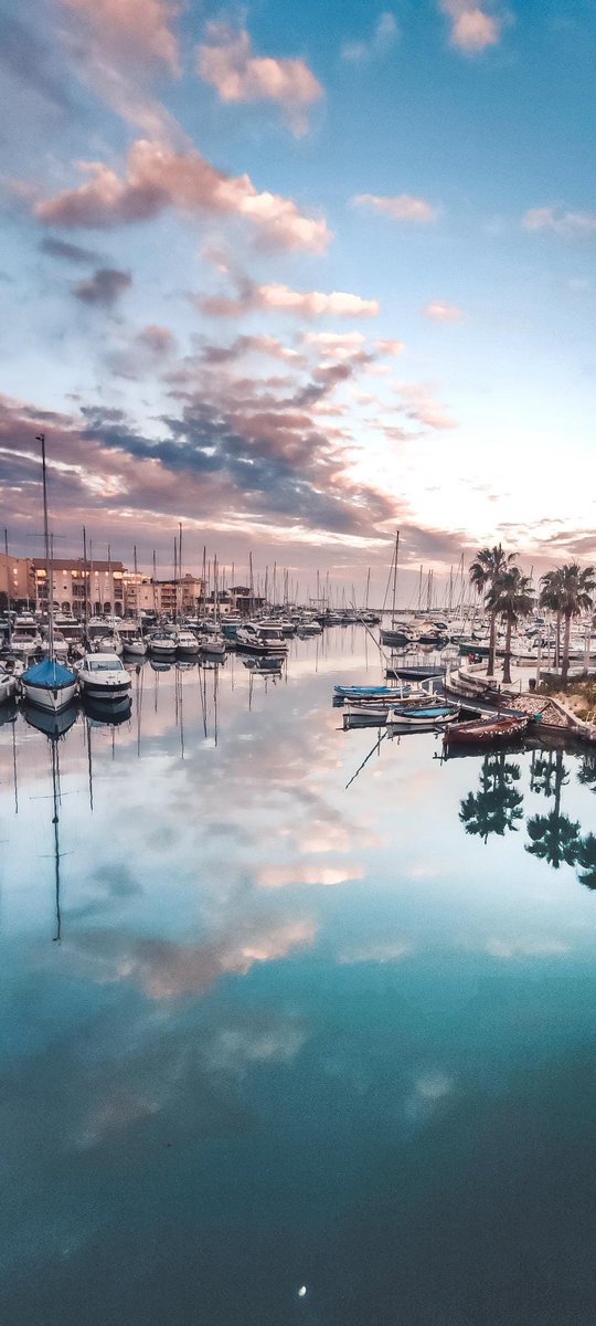 Fréjus Tourisme tweet media