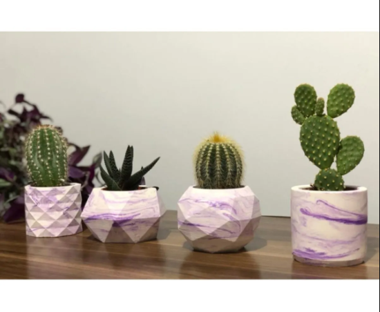 Desenli Saksı Seti - Sukulent Saksısı
📷Ürünler %100 el yapımıdır.
📷Kaliteli beton harcından üretilmektedir.
📷Bitkiler Dahil Değildir.
📷Kullanım Yerleri: Ev, ofis, ve bahçenizin her köşesinde rahatlıkla kaktüs ve sukulentlerinizin şık görünmesini sağlayabilirsiniz.