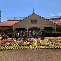 eastmanhawaii's tweet photo. #IIEHawaii のサマープログラム、K&amp;T-STEP。
7/26のアクティビティーは、＃Doleplantation　でした。まずはギネスにも認定された世界最大の迷路に挑戦！もちろんDole名物、パイナップルアイスもいただきました。  #ハワイ #サマープログラム #サマーキャンプ　K&amp;T-STEP https://t.co/IQ3vxDD7zV https://t.co/yoR6SEyUfS