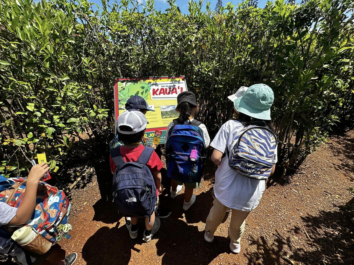 eastmanhawaii's tweet photo. #IIEHawaii のサマープログラム、K&amp;T-STEP。
7/26のアクティビティーは、＃Doleplantation　でした。まずはギネスにも認定された世界最大の迷路に挑戦！もちろんDole名物、パイナップルアイスもいただきました。  #ハワイ #サマープログラム #サマーキャンプ　K&amp;T-STEP https://t.co/IQ3vxDD7zV https://t.co/yoR6SEyUfS