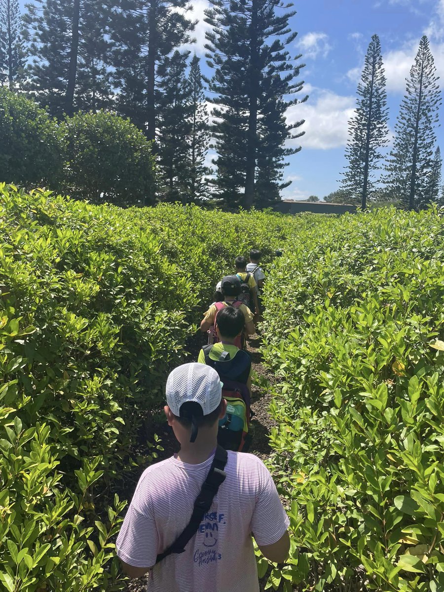 eastmanhawaii's tweet photo. #IIEHawaii のサマープログラム、K&amp;T-STEP。
7/26のアクティビティーは、＃Doleplantation　でした。まずはギネスにも認定された世界最大の迷路に挑戦！もちろんDole名物、パイナップルアイスもいただきました。  #ハワイ #サマープログラム #サマーキャンプ　K&amp;T-STEP https://t.co/IQ3vxDD7zV https://t.co/yoR6SEyUfS