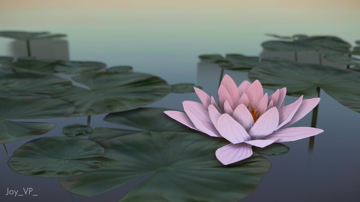 Take it easy on the weekend

Lotus flower
#MinimalFriday & #FloraPhotoSaturday
#GhostofTsushima